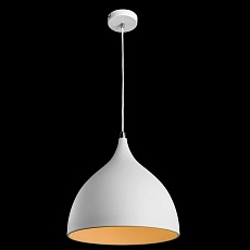 Подвесной светильник Arte Lamp 73 A9155SP-1WH 1