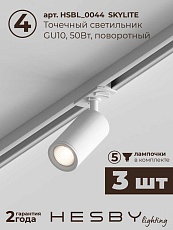 Накладная однофазная трековая система Hesby Lighting Skylite №3 со светильниками HSBL_kompl_S003_NI1W4K 1