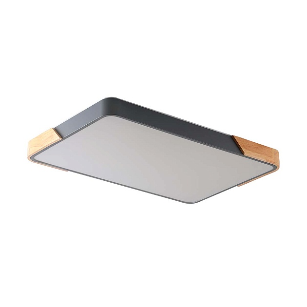 Потолочный светильник Zortes ALBERRO ZRS.01277.60 изображение 1 Потолочный светильник Zortes ALBERRO ZRS.01277.60 Фото № 1