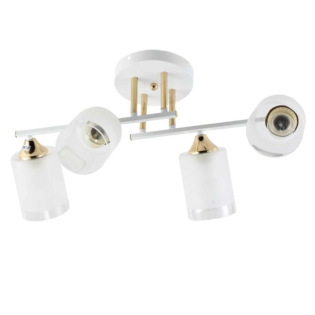 Потолочная люстра Rivoli Georgiana 9144-203 Б0055878 изображение 1 Потолочная люстра Rivoli Georgiana 9144-203 Б0055878 Фото № 1