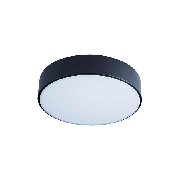 Потолочный светодиодный светильник Loft IT Axel 10002/12 black фото 