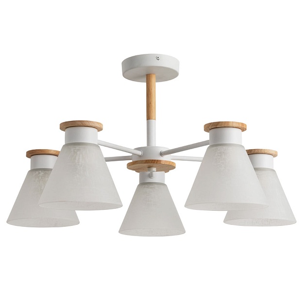 Потолочная люстра Arte Lamp Tyler A1031PL-5WH фото 