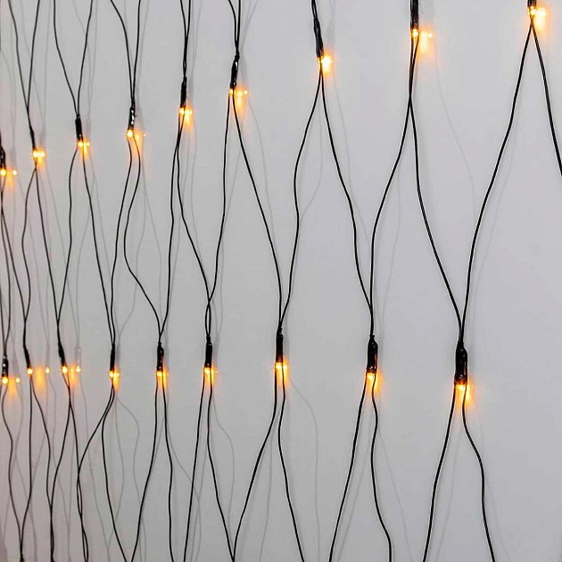 Светодиодная гирлянда Eglo GOLDEN WARM WHITE 411525 изображение 1 Светодиодная гирлянда Eglo GOLDEN WARM WHITE 411525 Фото № 1