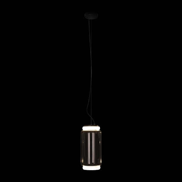Подвесной светодиодный светильник Loft IT Noctambule 10194/S Фото № 2