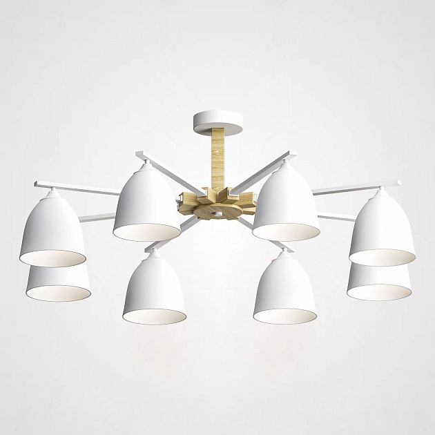 Потолочная люстра Imperium Loft Noa 183470-26 Фото № 1