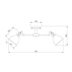 Потолочная люстра Eurosvet Denley 70112/8 черный 1