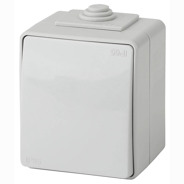 Переключатель одноклавишный ЭРА Эксперт 10AX 250V IP65 11-1603-03 Б0035975 Фото № 1