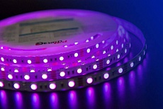 Светодиодная влагозащищенная лента DesignLed 14,4W/m 60LED/m 5050SMD разноцветный 5M 000603 5