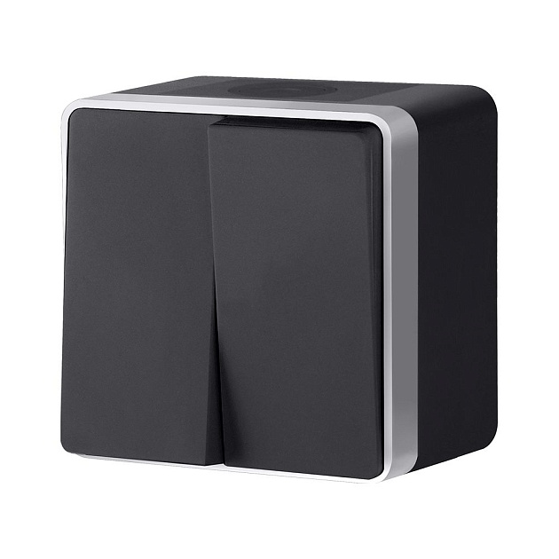 W5020234/ Выключатель двухклавишный влагозащищенный Gallant (черный с серебром) изображение 1 W5020234/ Выключатель двухклавишный влагозащищенный Gallant (черный с серебром) Фото № 1