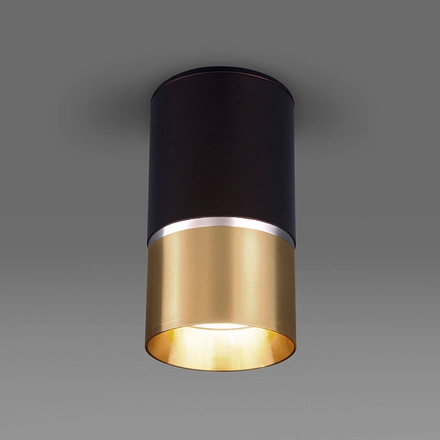 Потолочный светильник Elektrostandard DLN106 GU10 золото a047729 фото 2