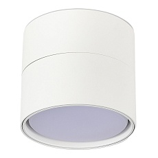 Спот ST Luce ST651.502.01 1