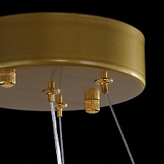 Подвесная люстра Imperium Loft Thera D60 Gold 249072-26 4