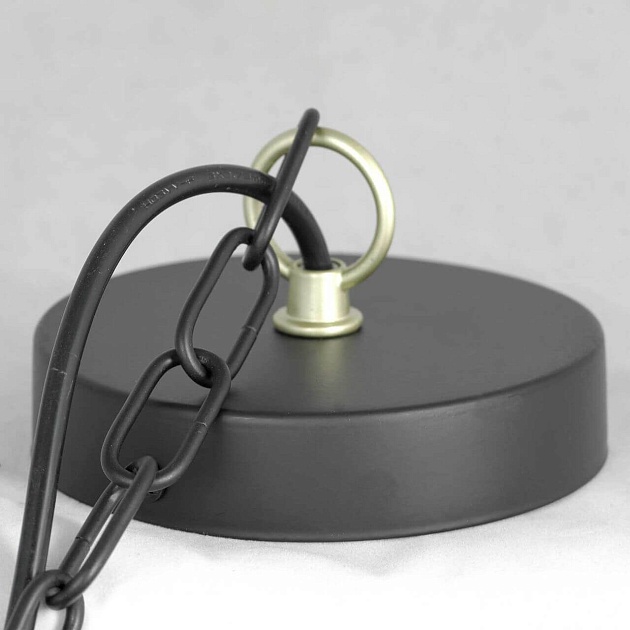 Подвесная люстра Lussole Lgo Roosevelt LSP-8198 Фото № 7