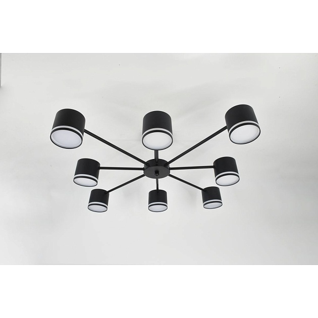 Потолочная люстра Rivoli Rosemary 3189-308 Б0071292 изображение 7 Потолочная люстра Rivoli Rosemary 3189-308 Б0071292 Фото № 7