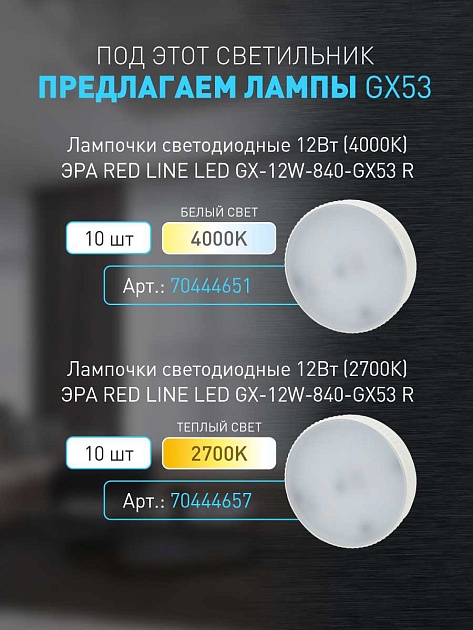Настенно-потолочный светильник ЭРА OL37 WH Б0056385 изображение 13 Настенно-потолочный светильник ЭРА OL37 WH Б0056385 Фото № 13