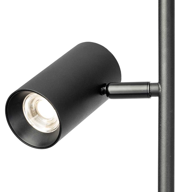 Торшер Citilux CL809011N изображение 7 Торшер Citilux CL809011N Фото № 7