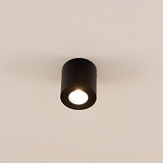 Потолочный светильник Citilux Дюрен CL538113 1
