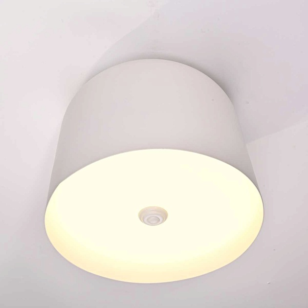 Потолочный светильник Imperium Loft Cylinder 101495-26 изображение 12 Потолочный светильник Imperium Loft Cylinder 101495-26 Фото № 12