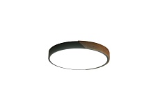 Потолочный светильник Zortes ALBERRO ZRS.01280.48 2