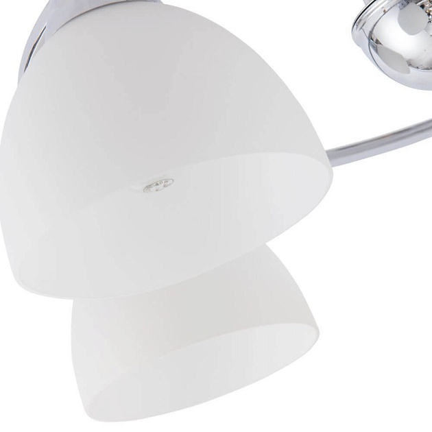 Потолочная люстра Arte Lamp A6057PL-5CC изображение 3 Потолочная люстра Arte Lamp A6057PL-5CC Фото № 3