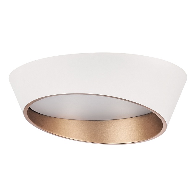 Потолочный светодиодный светильник Lightstar Celesta 809456 Фото № 1