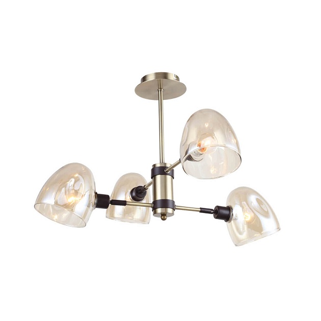 Потолочная люстра Rivoli Camila 4034-304 Б0044511 изображение 1 Потолочная люстра Rivoli Camila 4034-304 Б0044511 Фото № 1