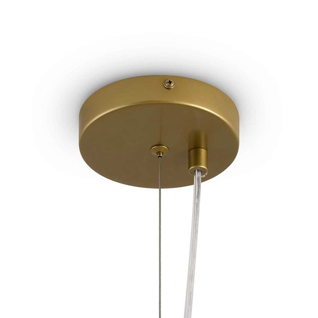 Потолочный светильник Freya FR5584CL-L45G изображение 6 Потолочный светильник Freya FR5584CL-L45G Фото № 6