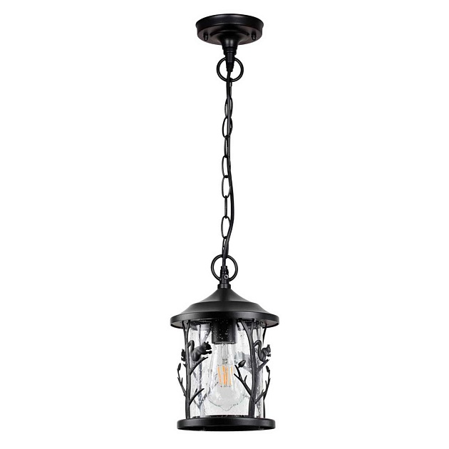 Уличный подвесной светильник Odeon Light Nature Cuita 4963/1 Фото № 1