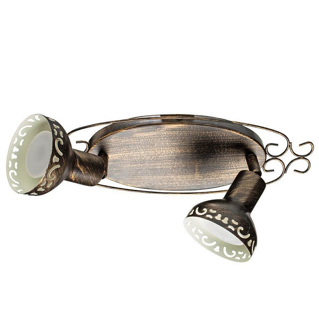 Спот Arte Lamp Focus A5219AP-2BR Фото № 1
