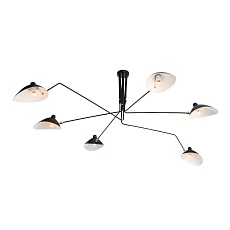 Потолочная люстра ST Luce Spruzzo SL305.402.06 4