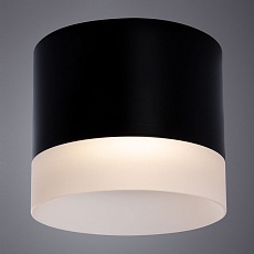 Потолочный светильник Arte Lamp Castor A5554PL-1BK 1