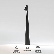 Настольная лампа Elektrostandard Elite TL70250 a068070