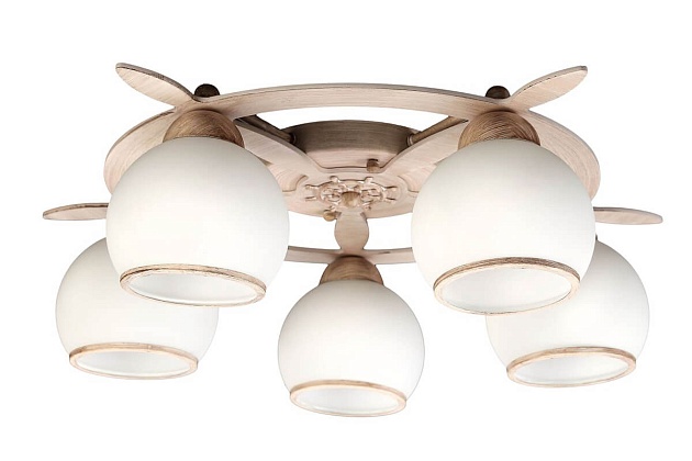 Потолочная люстра Omnilux OML-50517-05 изображение 1 Потолочная люстра Omnilux OML-50517-05 Фото № 1