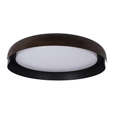 Потолочный светодиодный светильник Loft IT Coin 10198 Black 2