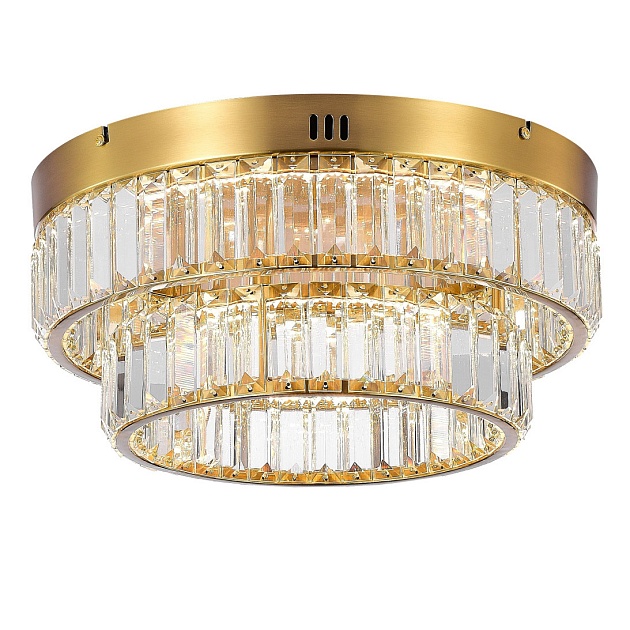 Потолочный светодиодный светильник MyFar Irina MR2011-2CL изображение 1 Потолочный светодиодный светильник MyFar Irina MR2011-2CL Фото № 1