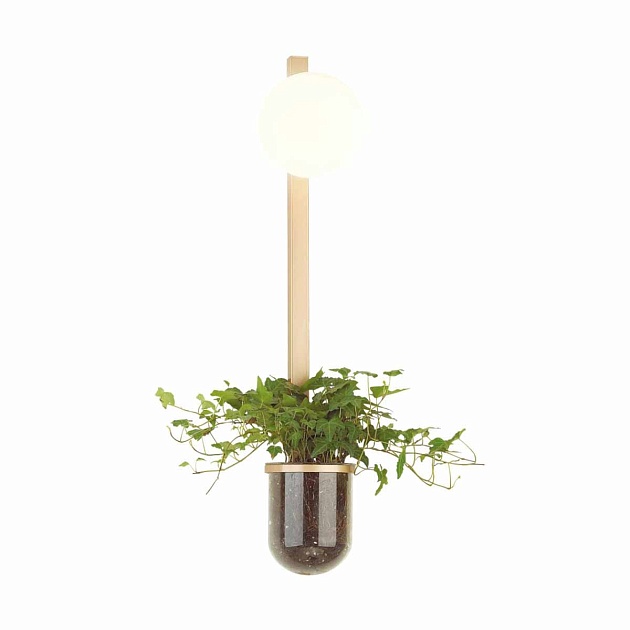 Настенный светильник Odeon Light Walli Flower 4682/1WB изображение 2 Настенный светильник Odeon Light Walli Flower 4682/1WB Фото № 2