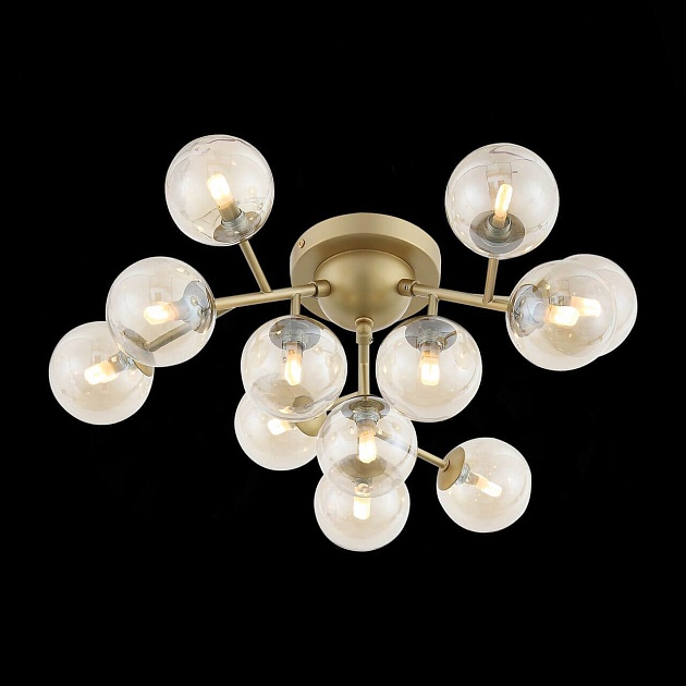 Потолочная люстра ST Luce Pallеre SL438.202.12 изображение 3 Потолочная люстра ST Luce Pallеre SL438.202.12 Фото № 3