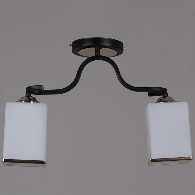 Потолочный светильник Reluce 32303-0.3-02 изображение 3 Потолочный светильник Reluce 32303-0.3-02 Фото № 3