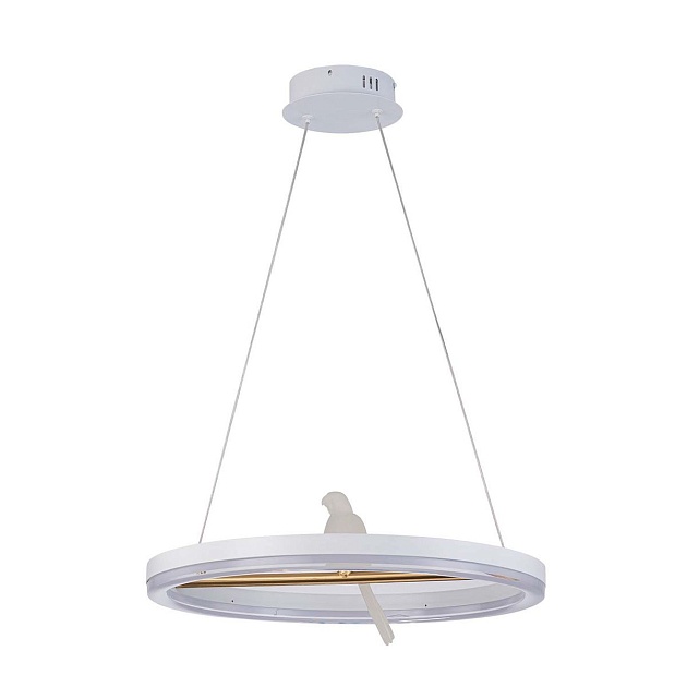 Подвесной светодиодный светильник F-Promo Bardy 4653-1P Фото № 1