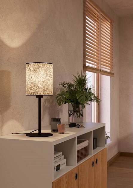 Настольная лампа Eglo Butterburn 43938 изображение 5 Настольная лампа Eglo Butterburn 43938 Фото № 5