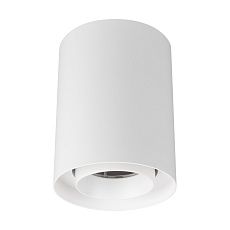 Светильник SP-FOCUS-R110-18W Day4000 (WH, 36 deg, 230V) Arlight 054854
