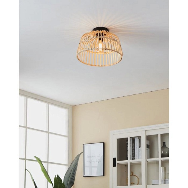 Потолочный светильник Eglo Glyneath 43872 Фото № 2