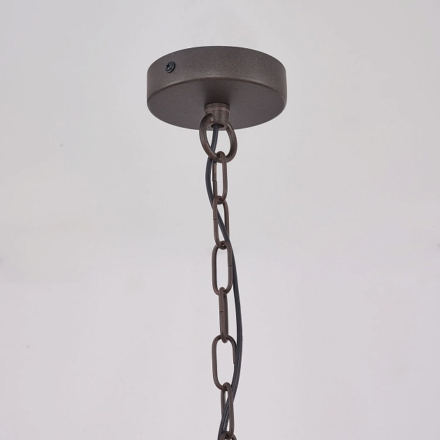 Подвесная люстра Favourite Ferrous 4007-2P Фото № 4