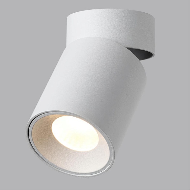 Потолочный светильник Odeon Light HIGHTECH 7133/7CL Фото № 4