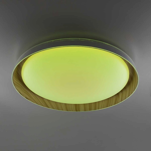 Потолочный светодиодный светильник Citilux Mega CL752452G Фото № 9