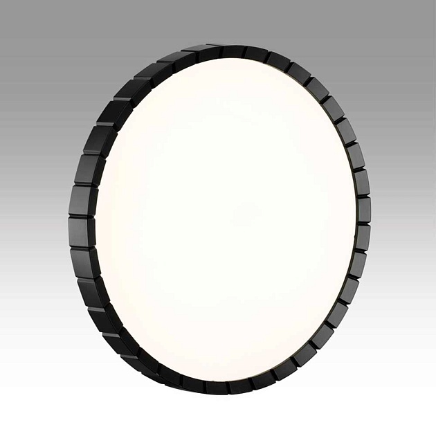 Настенно-потолочный светодиодный светильник Sonex Pale Atabi Black 7649/DL фото 4