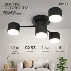 Потолочная люстра Rivoli Ruth 3190-304 Б0071293 1