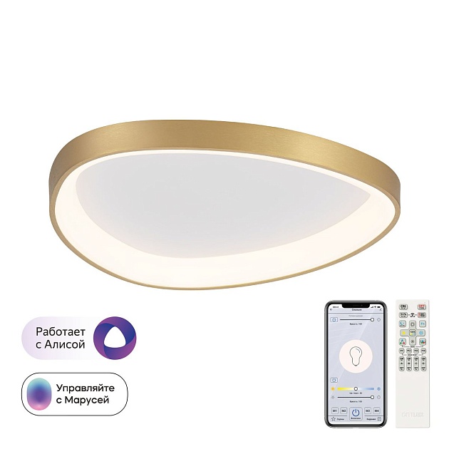 Потолочный светодиодный светильник Citilux Genka Smart CL756A142 изображение 1 Потолочный светодиодный светильник Citilux Genka Smart CL756A142 Фото № 1