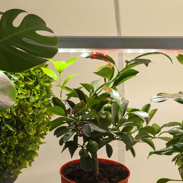 Подвесной светодиодный светильник для растений ЭРА Fito-14W-T5-Ra90 Б0049312 фото 10