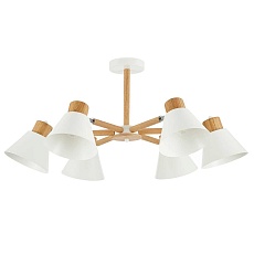 Потолочная люстра Evoluce Buve SLE103702-06 5